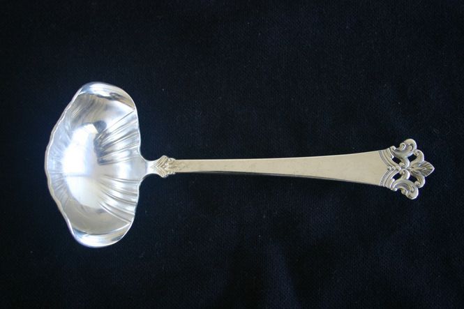 Hovedbilde Anitra sauseskje med krok