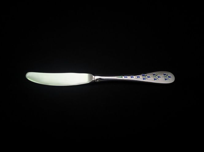 Hovedbilde Tusenfryd barnekniv