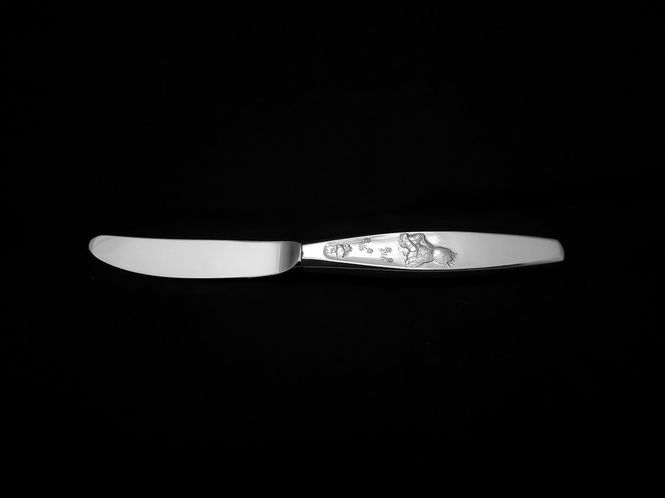 Hovedbilde Prins barnekniv